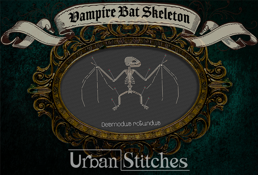 Vampire Bat Skeleton Faux Taxidermy Blackwork
