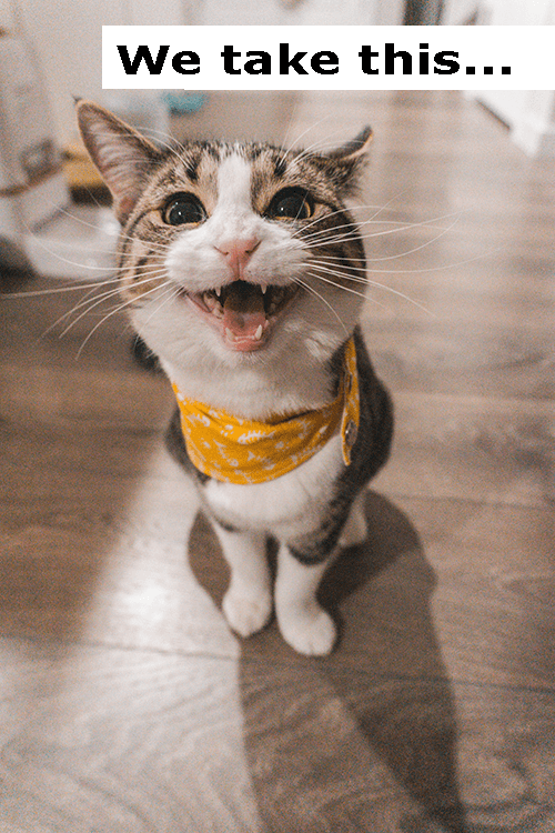 Custom Photorealistic Blackwork Pattern