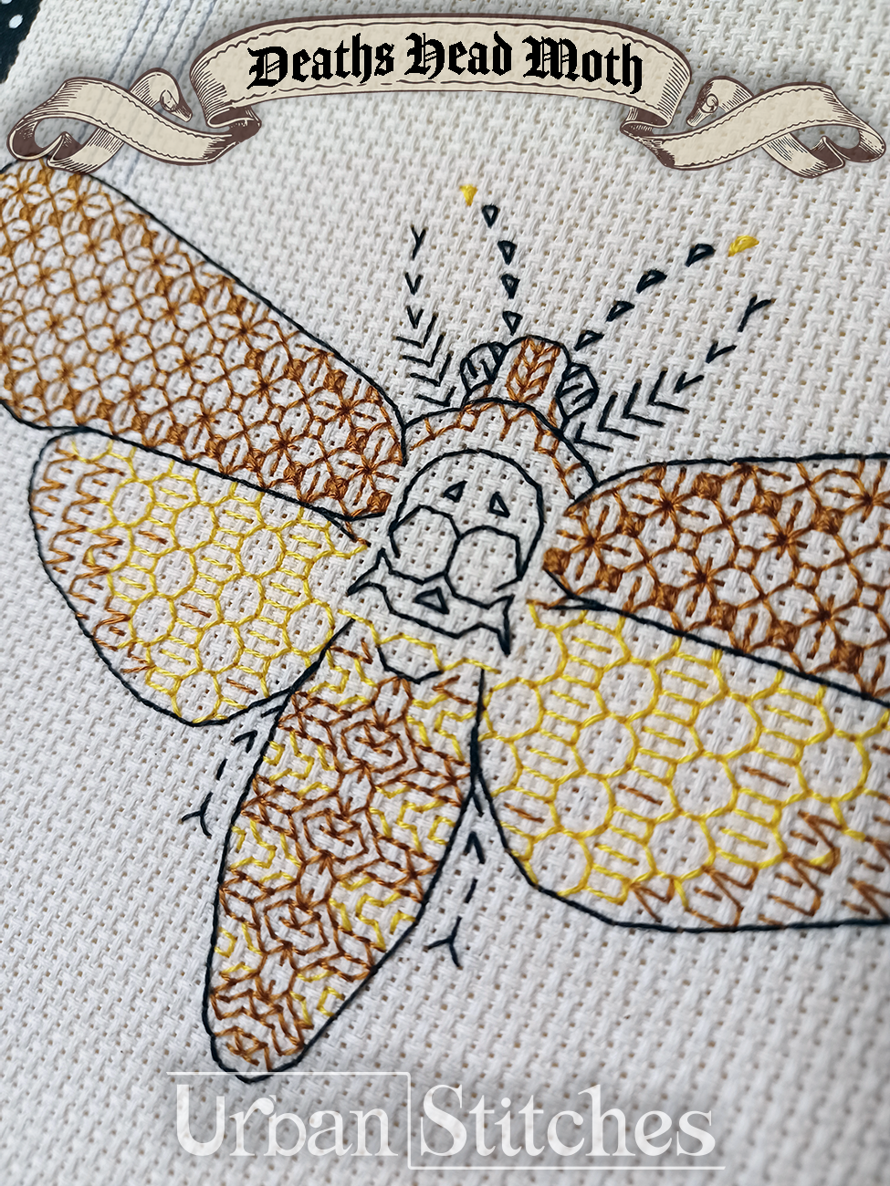 Deaths Head Moth Blackwork