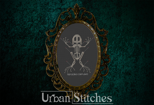 White's Tree Frog Skeleton Faux Taxidermy Blackwork