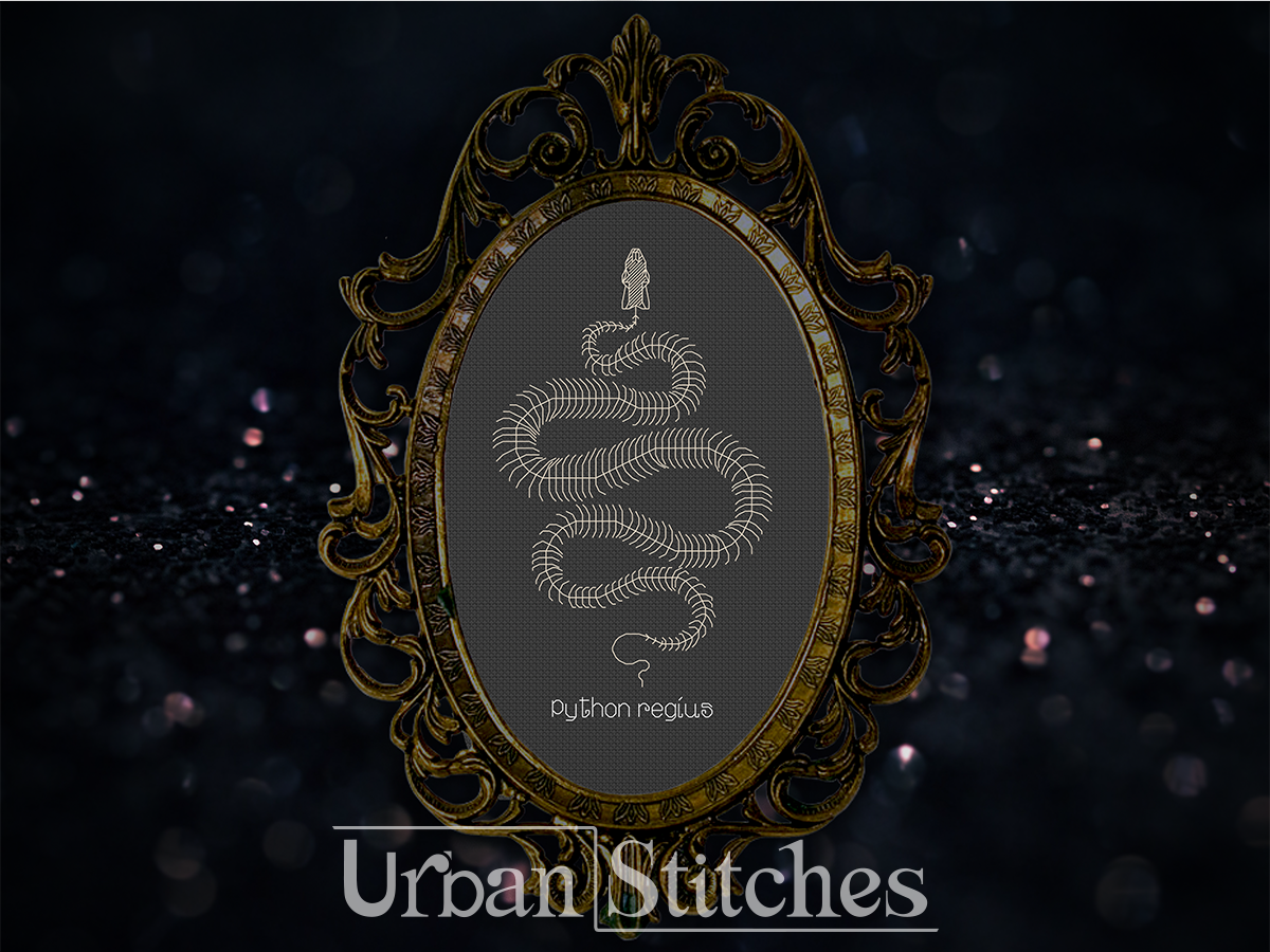 Royal Python Skeleton Snake Faux Taxidermy Blackwork