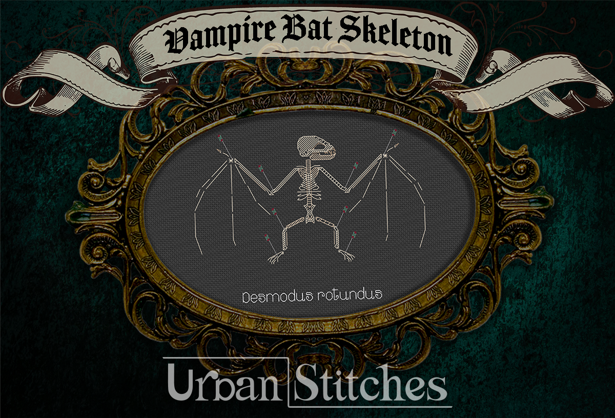 Vampire Bat Skeleton Faux Taxidermy Blackwork