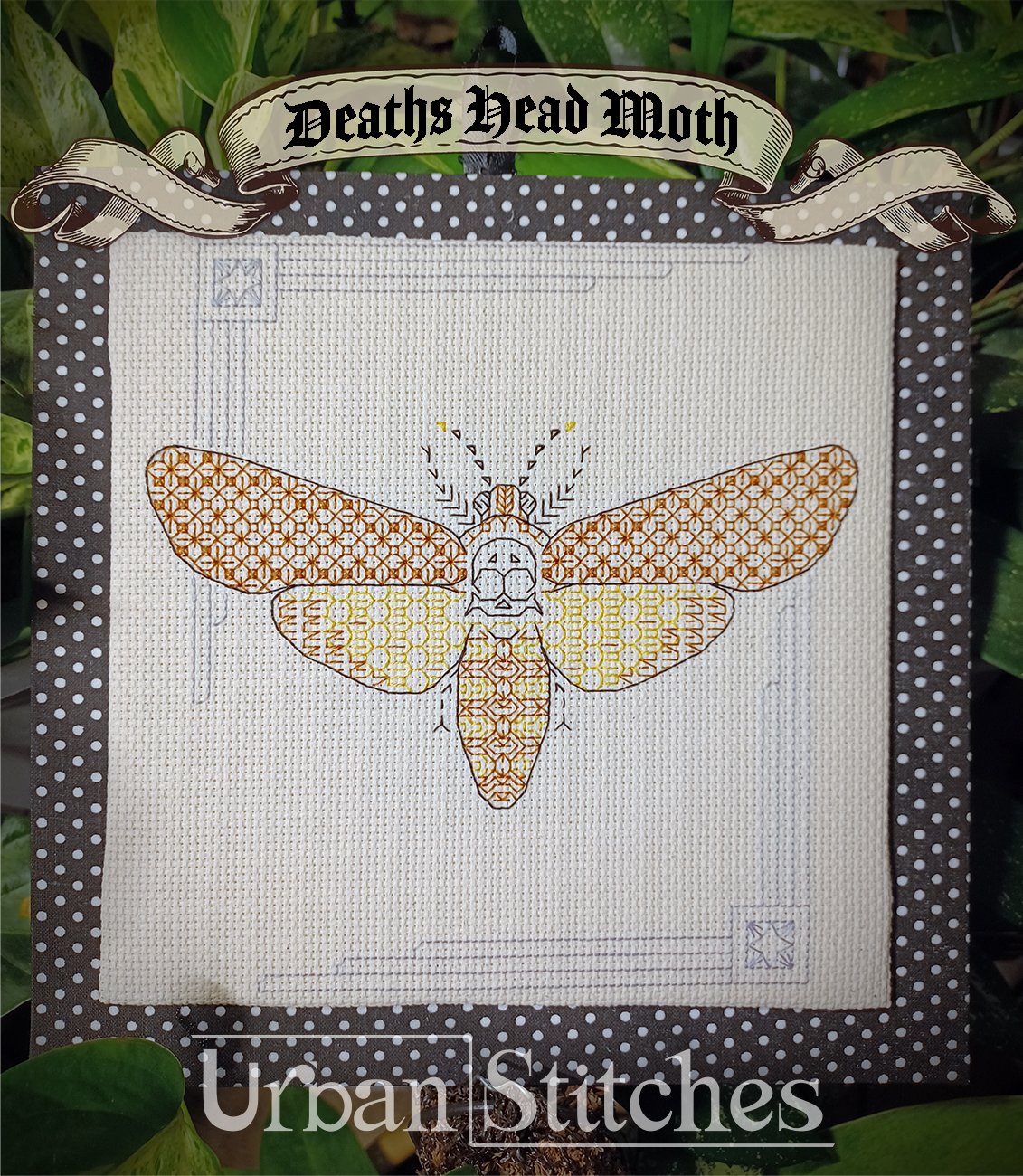 Collection of 6 insect blackwork series