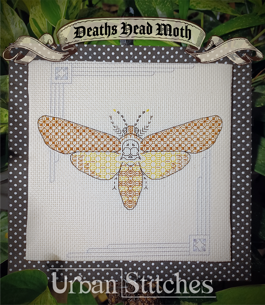 Deaths Head Moth Blackwork