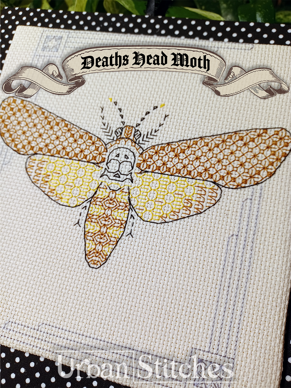 Deaths Head Moth Blackwork
