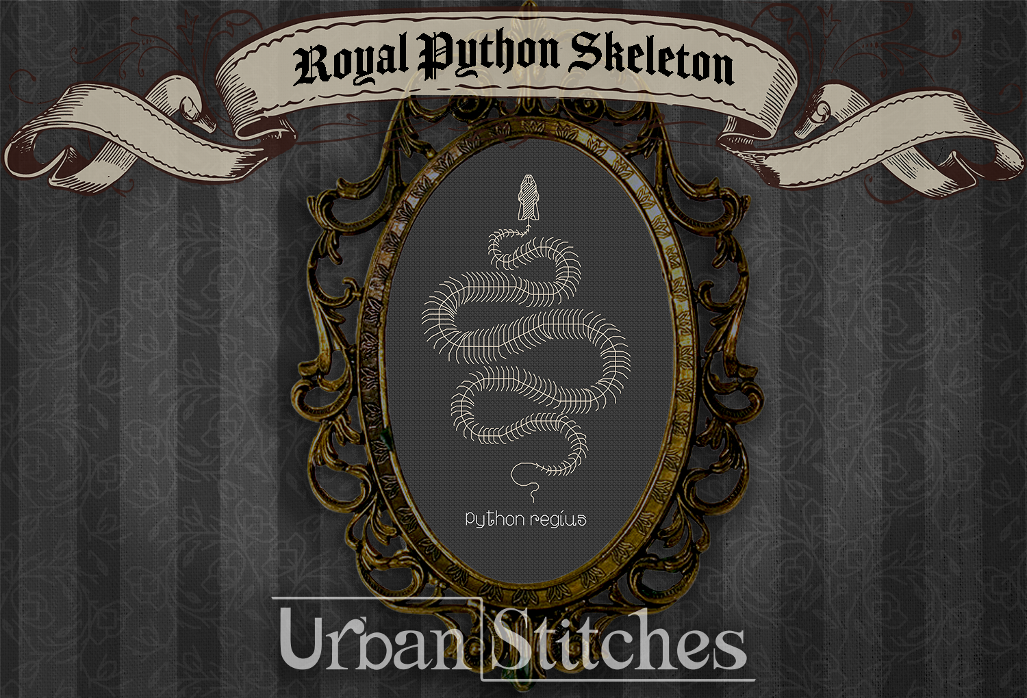 Royal Python Skeleton Royal Python Skeleton Snake Faux Taxidermy Blackwork – Urban Stitches