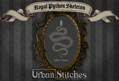 Royal Python Skeleton Snake Faux Taxidermy Blackwork